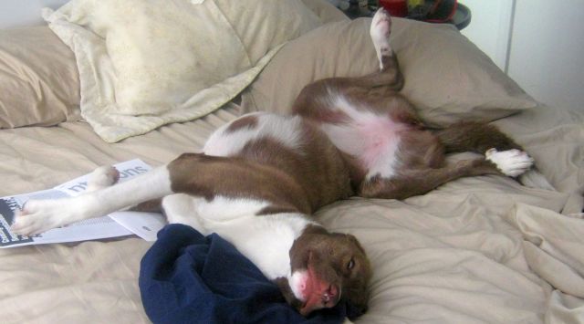 resting comfortably too