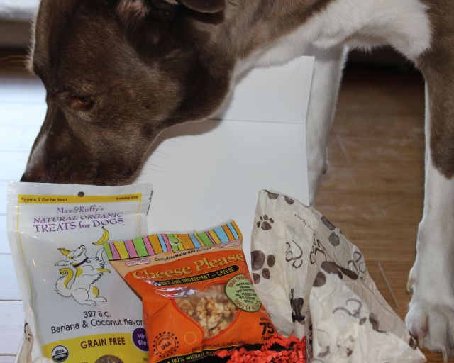 cruelty free for you and me dog treats