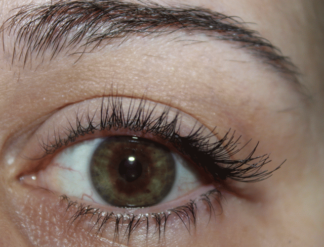 Self-adhesive Ardell Demi Wispies trimmed