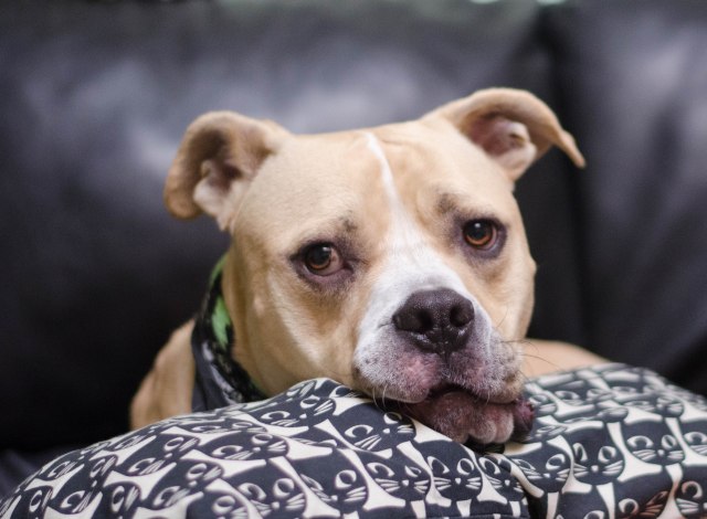 6AF5668E-B743-456B-8B53-54DAD44D36CF